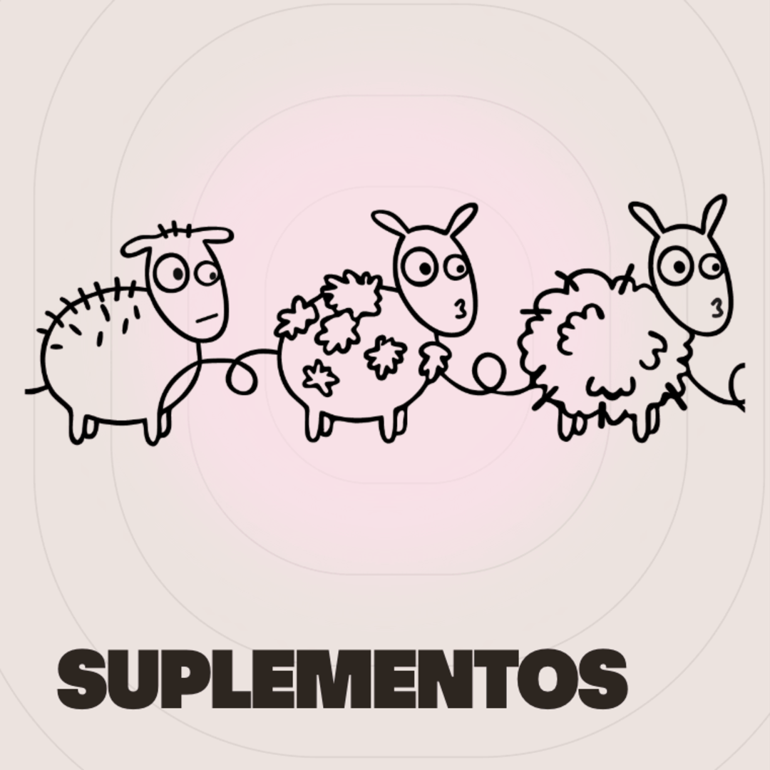 Suplementos