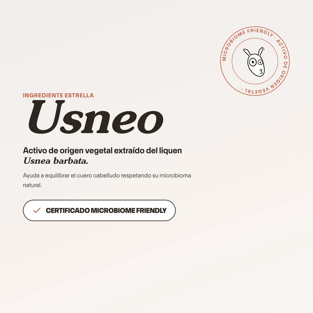 Shampoo Anticaspa para Caspa Grasa con Usneo | SHEET