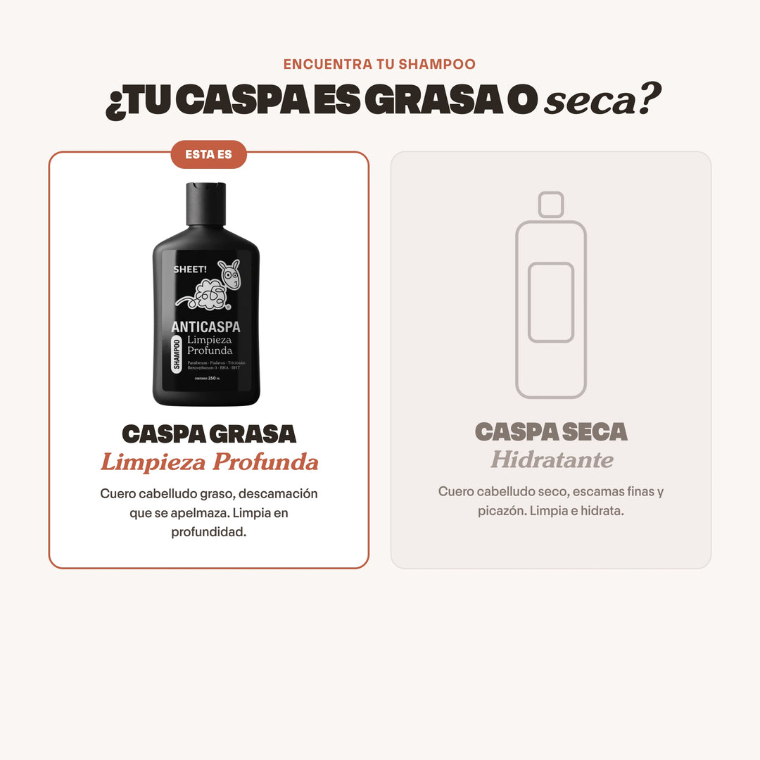 Shampoo Anticaspa para Caspa Grasa con Usneo | SHEET