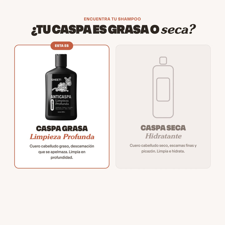 Shampoo Anticaspa para Caspa Grasa con Usneo | SHEET