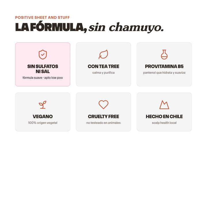 Shampoo Anticaspa Sin Sulfatos para Caspa Seca | SHEET