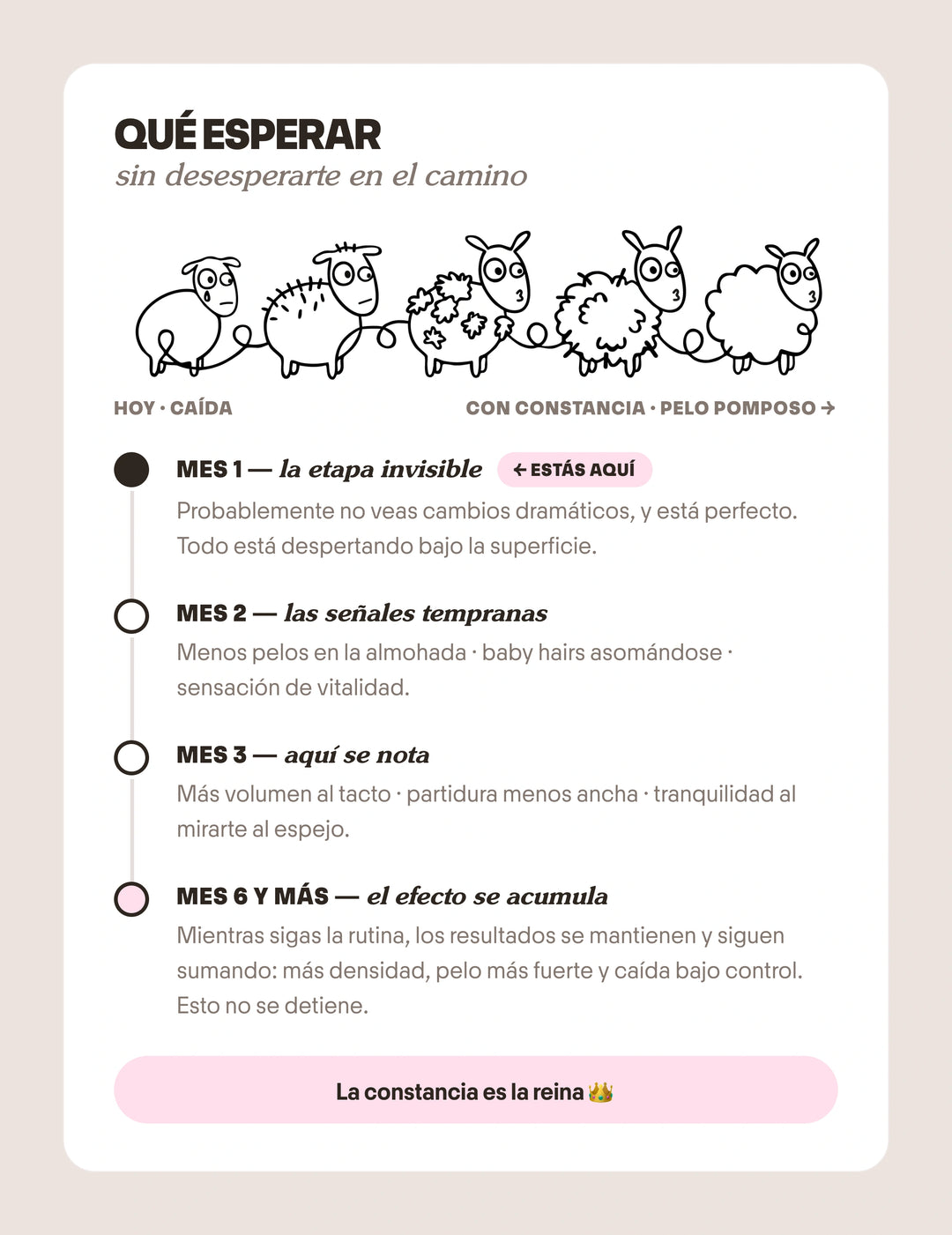 Pack Anticaída de Cabello para 1 Mes