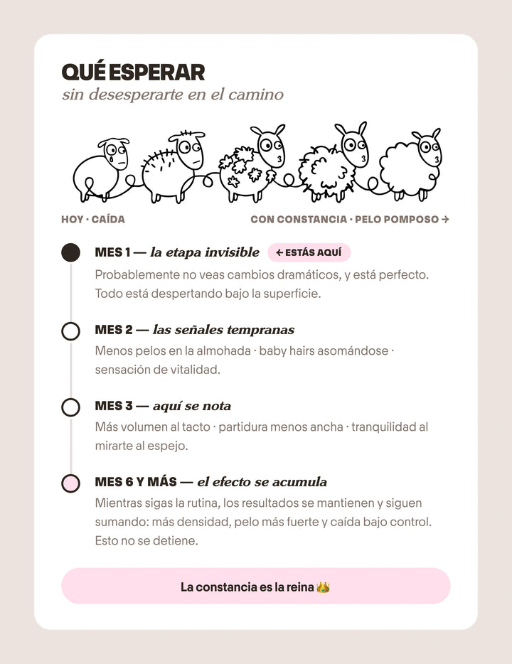 Pack Anticaída de Cabello para 1 Mes